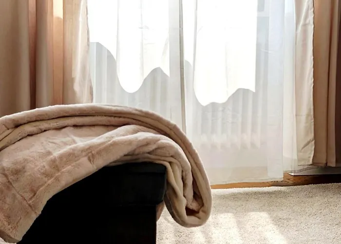 D 巴特迪克海姆