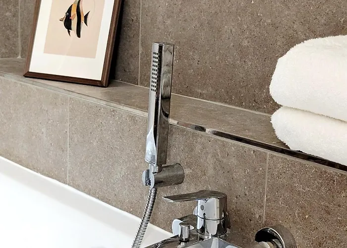 公寓 D 巴特迪克海姆