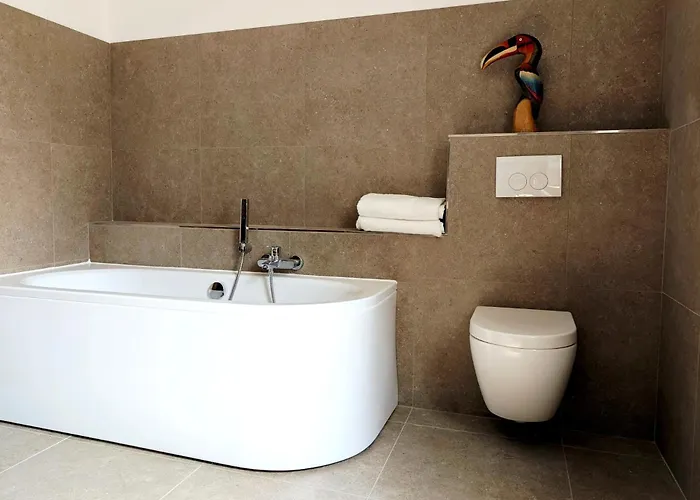 D * 巴特迪克海姆